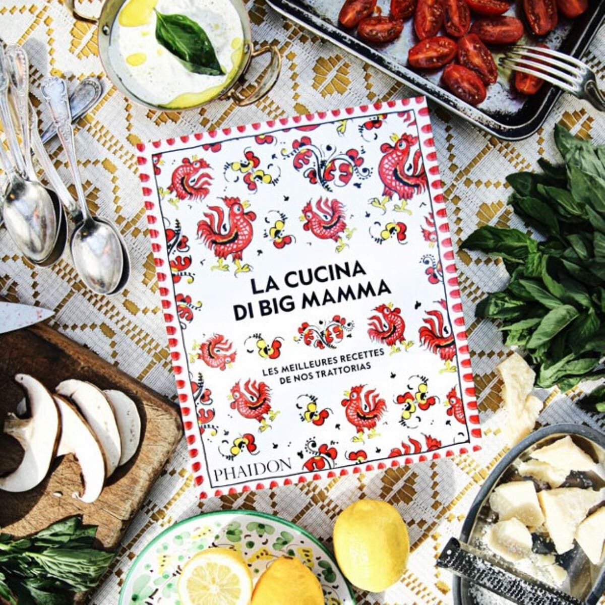 Un livre de 380 pages de délicieuses recettes italiennes
