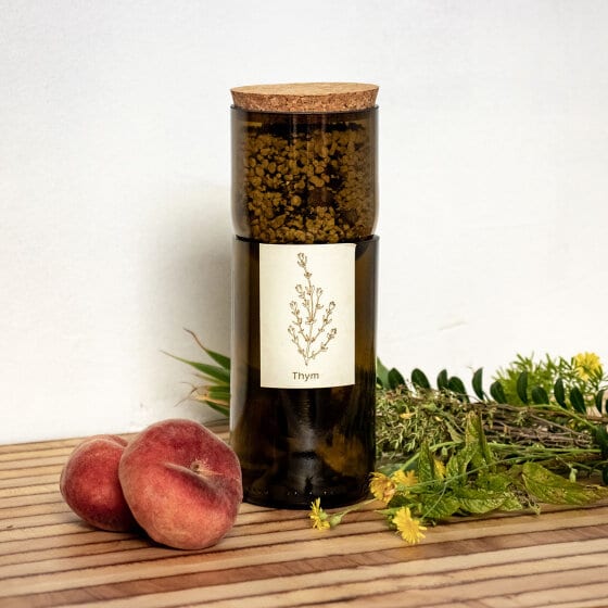 Une bouteille de vin coupée où faire pousser ses plantes aromatiques