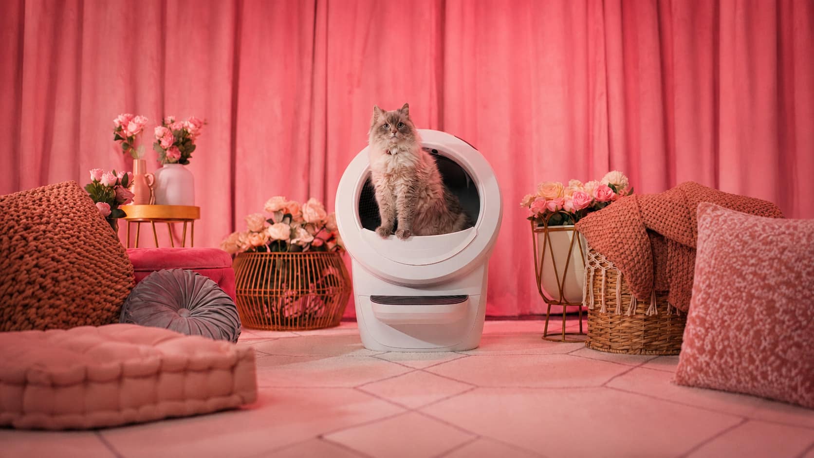 Litter-Robot 4 : cadeau high-tech pour les amoureux des chats
