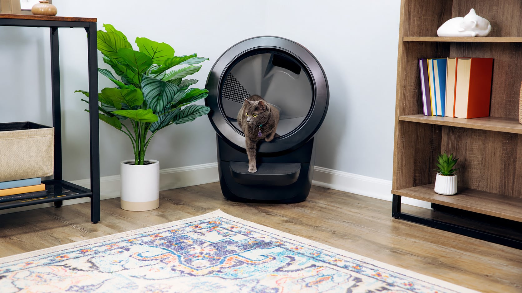 Litter-Robot 4 : cadeau high-tech pour les amoureux des chats