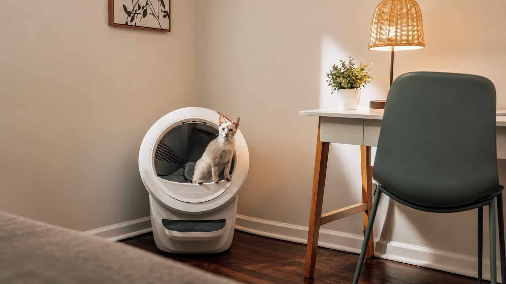 Litter-Robot 4 : cadeau high-tech pour les amoureux des chats